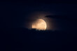 © Merrillie - Partial Lunar Eclipse - Blood Moon, Full Moon and clouds