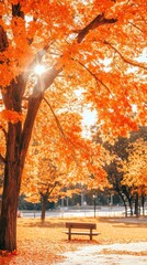 Poster - Bright Sunlight Shines Through the Leaves of a Large Tree