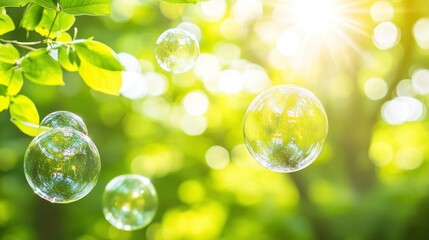 Poster - Several clear bubbles float near green leaves in sunlight