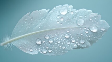 Poster - Close-up of a single, light-blue feather covered in water droplets against a soft blue background.