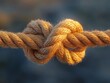 © Pir8prints - Intertwined Strength: A close-up showcases a tightly knotted rope, symbolizing connection, unity, and enduring strength, with the texture of the rope highlighted.