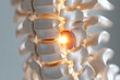 © heerim studio - Spine with herniated disc illustration