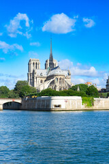 Wall Mural - notre dame cathedral, paris france