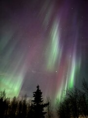 aurora borealis