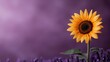 © Dulemegapixel - A solitary sunflower with golden petals stands elegantly against a soft purple backdrop, creating a striking visual that evokes feelings of whimsy and artistic expression.
