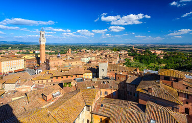 Wall Mural - aerial view of siena with campo square (piazza del campo), palazzo pubblico and mangia tower (torre 
