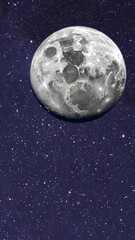 Wall Mural - Vertical video of moon, View From Space