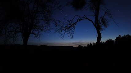 Wall Mural - evening skies, with tree silhouettes, planets, stars, moon and other celestial objects.