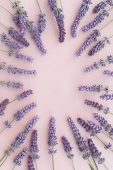 Fototapete - Lavender frame on pink background