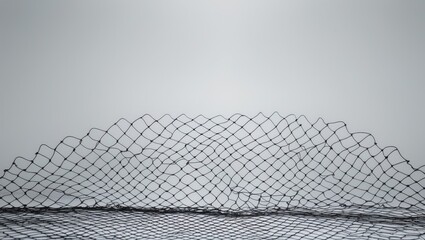 Black silhouette of a fishing net set against a white background.
