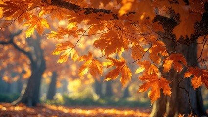 Wall Mural - a stunning image of an autumn tree filled with brown leaves, with light shining through the foliage.