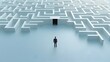 © Natha - A businessman in a suit stands at the entrance of a massive intricate maze symbolizing the complex challenges and strategic decision making required to navigate the competitive business landscape