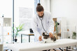 © sofiko14 - Male veterinarian in mid-20s examining tabby cat in clinic using stethoscope. Modern room with white furniture and plants. Professional setting for pet health assessment, ensuring cat's health