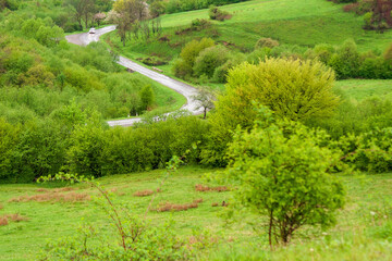 Wall Mural - travel landscape, with road through valley. green nature scenery in spring for tourism. beautiful ru