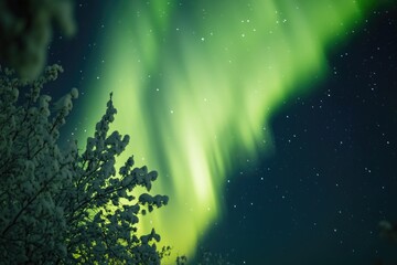 Wall Mural - nighttime view of the northern lights, a natural light display in the night sky
