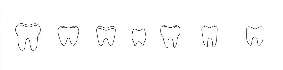 A series of tooth images depicting various sizes and styles, rendered in a simple black and white style
