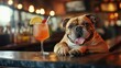 © Majed - A playful scene of a tipsy dog enjoying a cocktail, capturing a whimsical and carefree moment