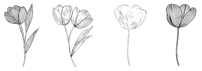 Wall Mural - the collection features a modern set of trendy cards with line art elements, including plants, flowe