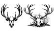 © Aisha Kudorova - deer skull with antlers black vector outline