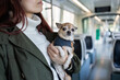 © ADDICTIVE STOCK - Woman with chihuahua traveling in public transport interior