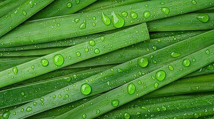 Wall Mural -   A macro photo of lush green foliage with droplets on blades and stems