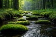 © A10zon Studio - Serene moss-covered stone pathway in a peaceful forest environment high quality