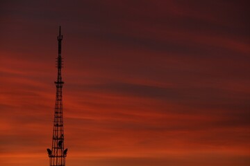 Wall Mural - transmission tower against beautiful sky at sunset