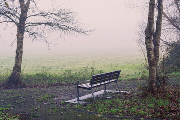 Wall Mural - metal bench in a park next to a field which is covered with fog and mist. moody calm nature scene.