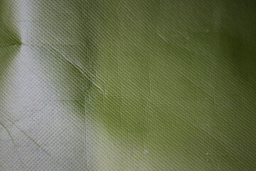 Wall Mural - abstract green texture background for graphic design and web design or wallpaper