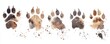 © ธิดารัตน์ ชะโนวรรณะ - Artistic watercolor depiction of animal paw prints, showcasing unique textures and colors in a creative arrangement.