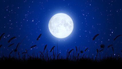 Wall Mural - full moon and starry night  with grass ,glowing and shiny stars and big moon,space and galaxy,dark night sky background	