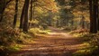 © SAHURI - Woodland walk in the new forest in Autumn.