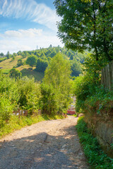 Wall Mural - rural landscape with road in summer. countryside nature with mountain in background. rustic scenery 