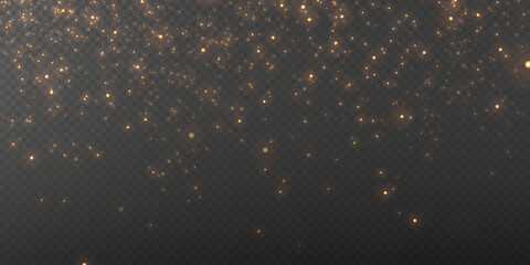 Wall Mural - light effect. background of sparkling particles. glittering elements on a transparent background.