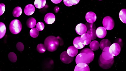 Wall Mural - pink bokeh lights floating on a black background. abstract motion graphics concept. perfect footage 