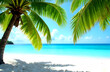 © Elena Verba - Tropical beach scene with palm tree fronds framing a turquoise ocean and clear sky. Summer, vacation, paradise themes, background with copy space. Selective focus, blurred background