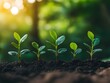 © Anuson - Five young green plants growing in rich dark soil represent growth progress and environmental sustainability in nature.