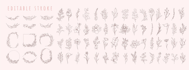 Wall Mural - set of different flowers, brunch and frames from flat editable stroke. luxury line floral collection
