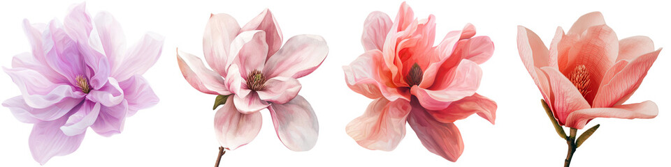 Aufkleber - On a transparent background, a pink magnolia flower is depicted in isolation, a product of Generative Ai