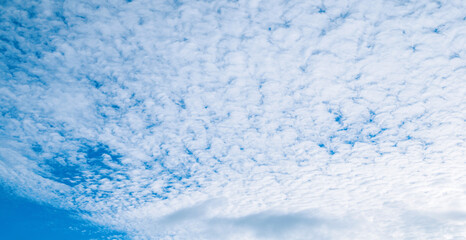 Wall Mural - dramatic blue sky background. vast sky landscape panoramic scene