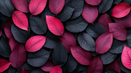 Poster - Close up of leaves with a black and red color scheme. The leaves are arranged in a way that creates a sense of depth and texture. The image evokes a feeling of nature and tranquility