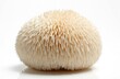 © Pete - Isolated lions mane mushroom on white background. Fresh autumn edible food, raw nature ingredient. Closeup of organic fungal chinese medicine. Medicative bearded whole mushroom in studio. Healthy