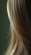 © RaptorWoman - An artistic close-up of flowing blonde hair showcasing vibrant highlights and smooth texture in a soft light setting.
