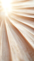 Fototapete - Pleated beige fabric texture illuminated by a bright light beam creating a beautiful abstract background