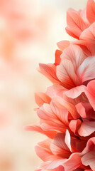 Poster - Soft coral petals create a beautiful and romantic atmosphere, perfect for backgrounds and designs related to nature, beauty, and spring