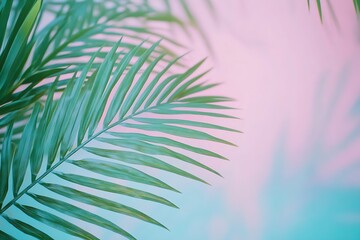 Fototapete - Lush Green Palm Fronds Framing a Gentle Soft Background in Pastel Tones : Generative AI