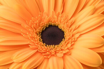 Poster - Stunning close up view of a vibrant orange gerbera daisy flower showcasing intricate petal details : Generative AI