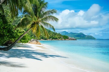 Poster - Scenic Tropical Beach with Soft White Sand and Palm Trees Against a Backdrop of Turquoise Ocean Waves : Generative AI