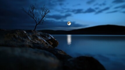 Wall Mural - A full moon casts its reflection on a calm lake during the night. A lone, bare tree stands on rocky shore, surrounded by tranquil water and distant hills