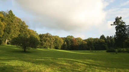 Wall Mural - wide drone view of a peaceful open field bordered by dense trees under a bright sky.